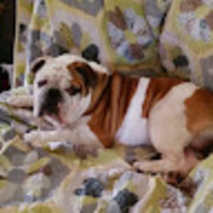 Meet your Posher, Leeann